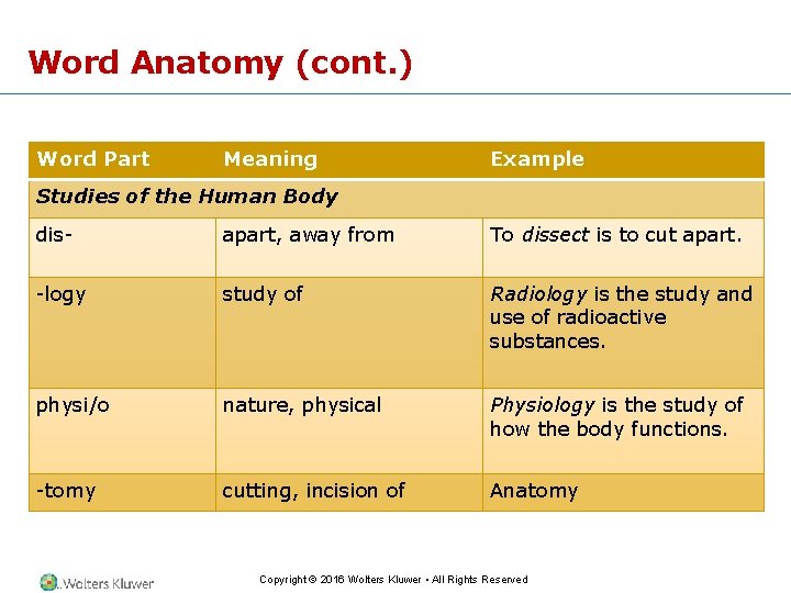 Word Anatomy (cont. ) Word Part Meaning Example Studies of the Human Body dis-