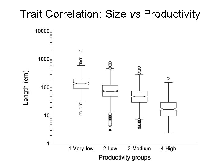 Trait Correlation: Size vs Productivity 
