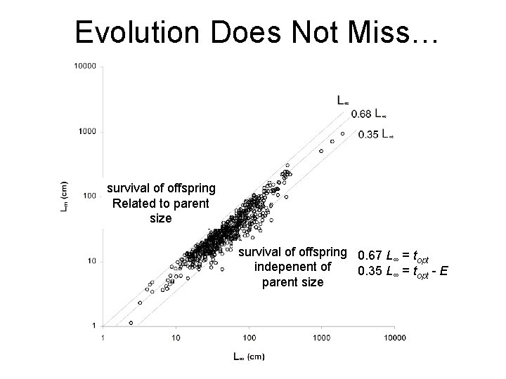 Evolution Does Not Miss… survivallive of bearers offspring Related to parent sharks & rays