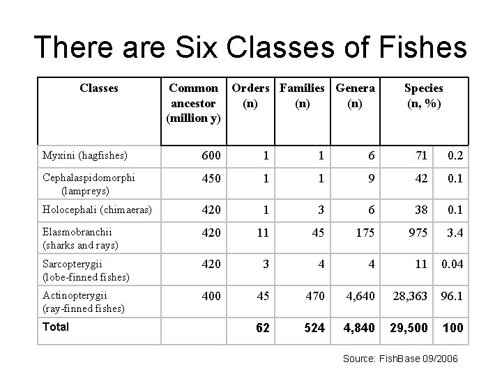 There are Six Classes of Fishes Classes Common Orders Families Genera ancestor (n) (n)