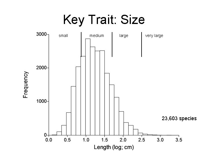 Key Trait: Size small medium large very large 23, 603 species 