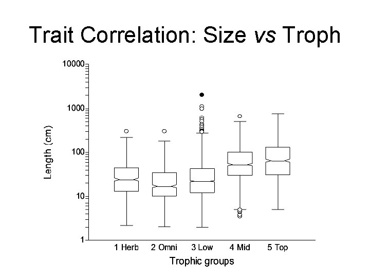 Trait Correlation: Size vs Troph 