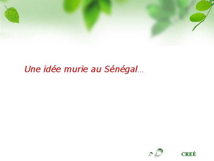 Une idée murie au Sénégal… CREÉ 