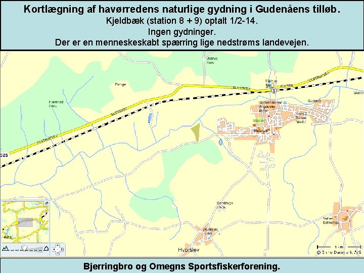 Kortlægning af havørredens naturlige gydning i Gudenåens tilløb. Kjeldbæk (station 8 + 9) optalt