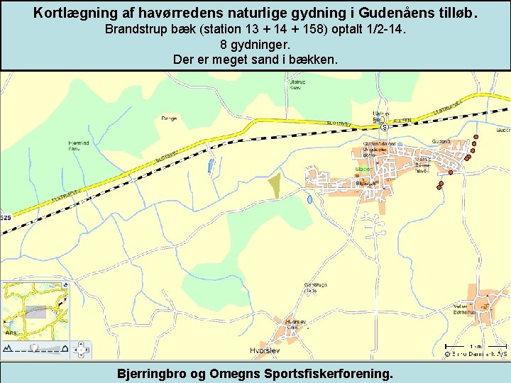 Kortlægning af havørredens naturlige gydning i Gudenåens tilløb. Brandstrup bæk (station 13 + 14