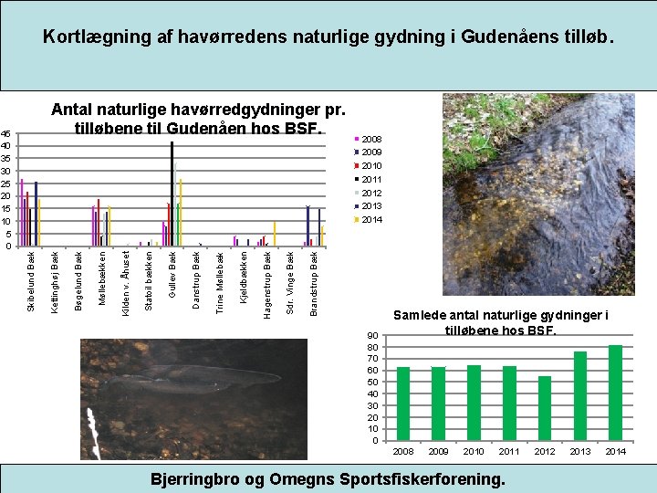 Kortlægning af havørredens naturlige gydning i Gudenåens tilløb. 2008 2009 2010 2011 2012 2013