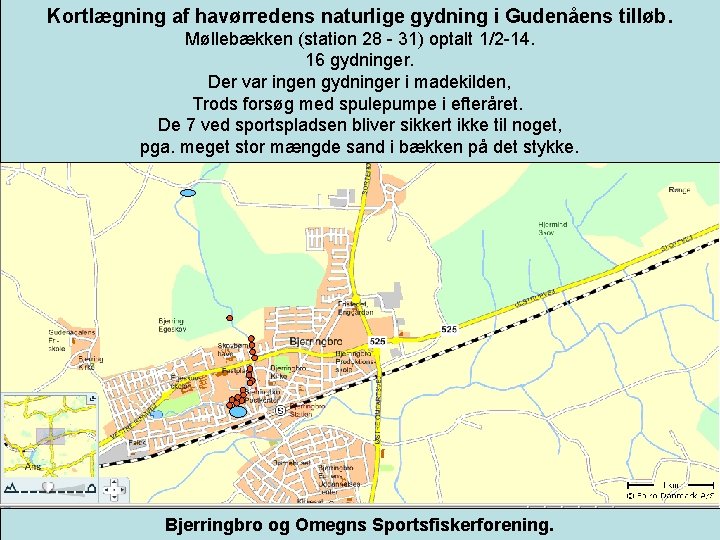 Kortlægning af havørredens naturlige gydning i Gudenåens tilløb. Møllebækken (station 28 - 31) optalt