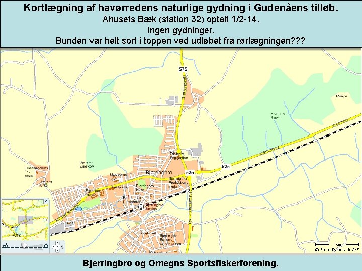 Kortlægning af havørredens naturlige gydning i Gudenåens tilløb. Åhusets Bæk (station 32) optalt 1/2