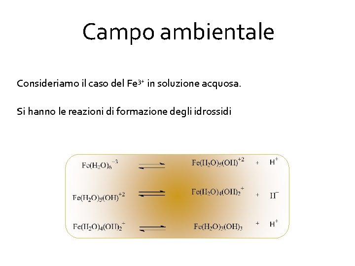 Campo ambientale Consideriamo il caso del Fe 3+ in soluzione acquosa. Si hanno le