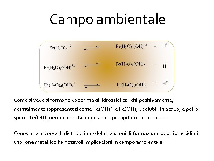 Campo ambientale Come si vede si formano dapprima gli idrossidi carichi positivamente, normalmente rappresentati