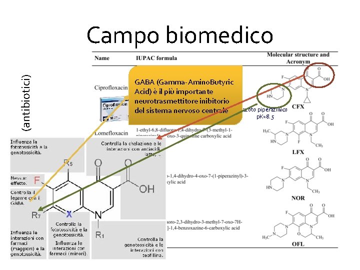  • Fluorochinoloni (antibiotici) Campo biomedico GABA (Gamma-Amino. Butyric Acid) è il più importante