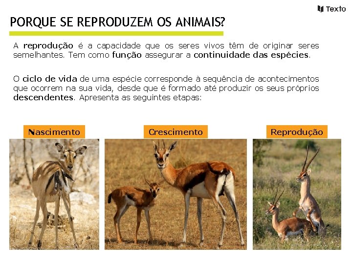 PORQUE SE REPRODUZEM OS ANIMAIS? A reprodução é a capacidade que os seres vivos