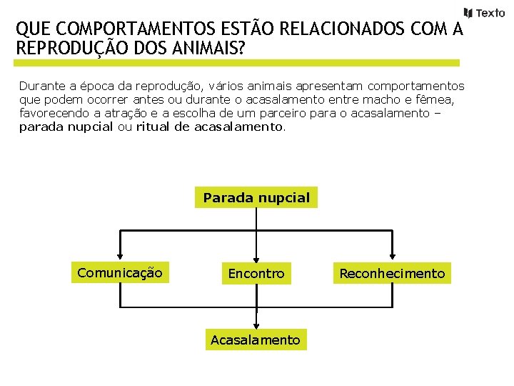 QUE COMPORTAMENTOS ESTÃO RELACIONADOS COM A REPRODUÇÃO DOS ANIMAIS? Durante a época da reprodução,