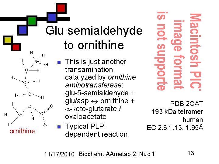 Glu semialdehyde to ornithine n This is just another transamination, catalyzed by ornithine aminotransferase: