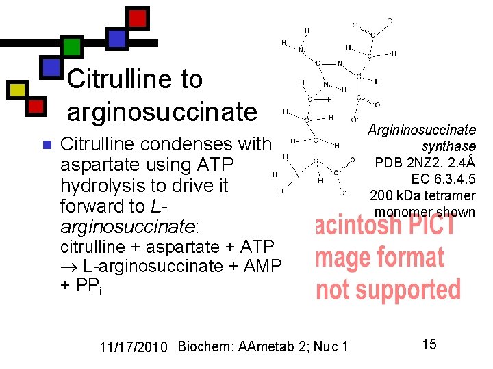 Citrulline to arginosuccinate n Citrulline condenses with aspartate using ATP hydrolysis to drive it