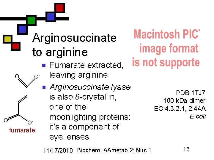 Arginosuccinate to arginine n n fumarate Fumarate extracted, leaving arginine Arginosuccinate lyase is also
