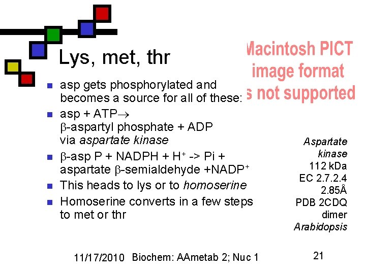 Lys, met, thr n n n asp gets phosphorylated and becomes a source for