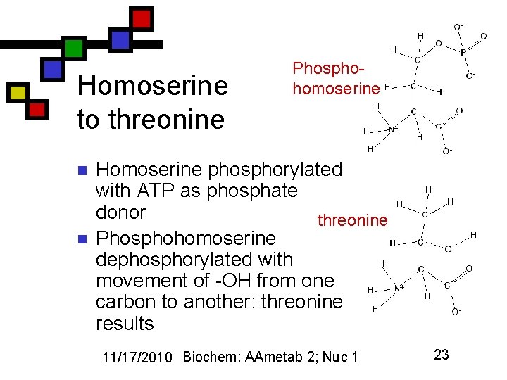 Homoserine to threonine n n Phosphohomoserine Homoserine phosphorylated with ATP as phosphate donor threonine