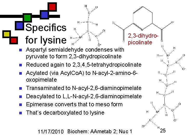 Specifics for lysine n n n n 2, 3 -dihydropicolinate Aspartyl semialdehyde condenses with