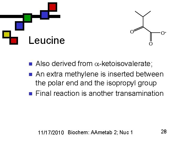 Leucine n n n Also derived from -ketoisovalerate; An extra methylene is inserted between