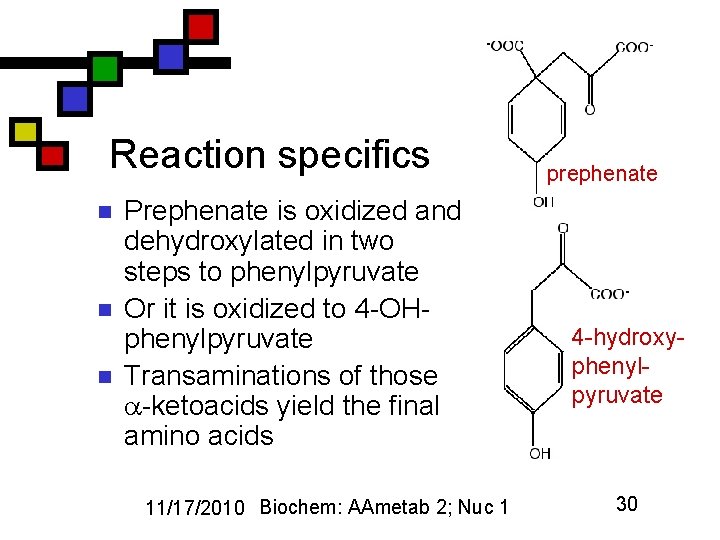 Reaction specifics n n n Prephenate is oxidized and dehydroxylated in two steps to
