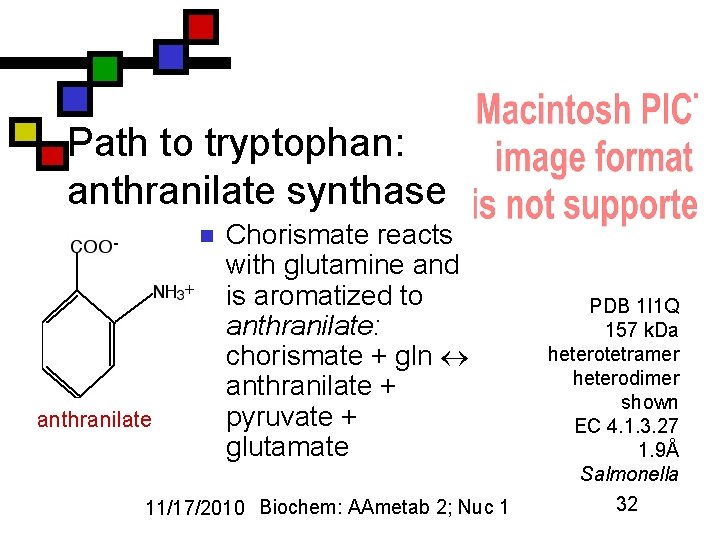 Path to tryptophan: anthranilate synthase n anthranilate Chorismate reacts with glutamine and is aromatized