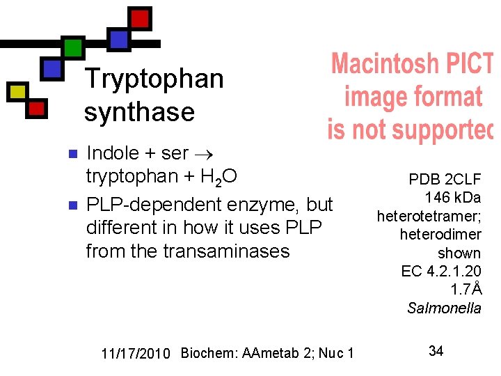 Tryptophan synthase n n Indole + ser tryptophan + H 2 O PLP-dependent enzyme,