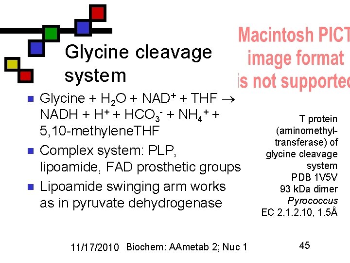 Glycine cleavage system n n n Glycine + H 2 O + NAD+ +