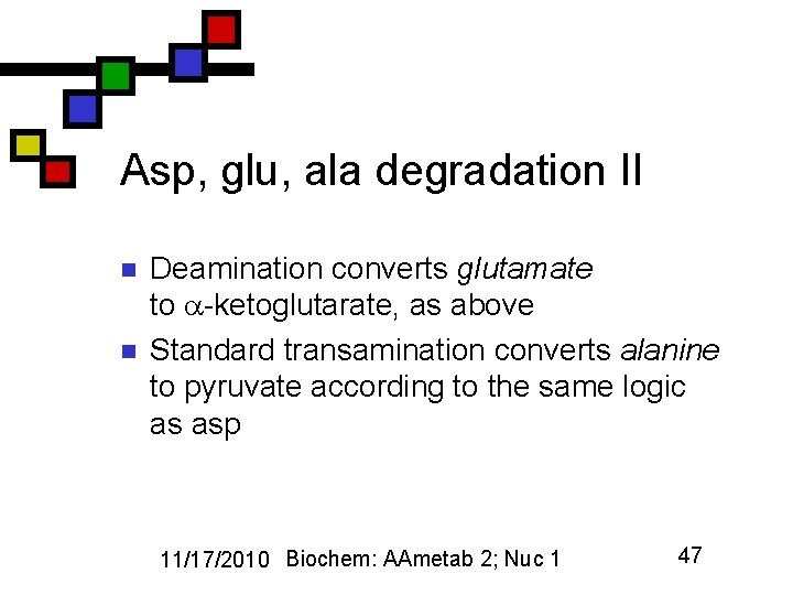 Asp, glu, ala degradation II n n Deamination converts glutamate to -ketoglutarate, as above