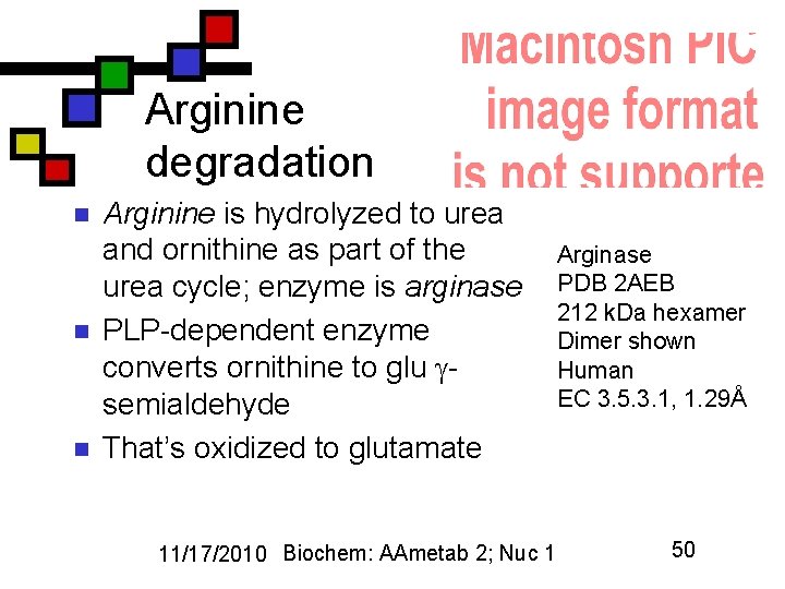 Arginine degradation n Arginine is hydrolyzed to urea and ornithine as part of the