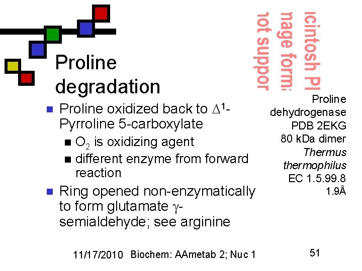 Proline degradation n Proline oxidized back to Pyrroline 5 -carboxylate 1 - O 2