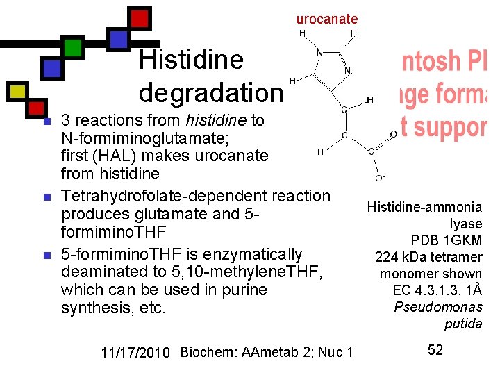 urocanate Histidine degradation n 3 reactions from histidine to N-formiminoglutamate; first (HAL) makes urocanate