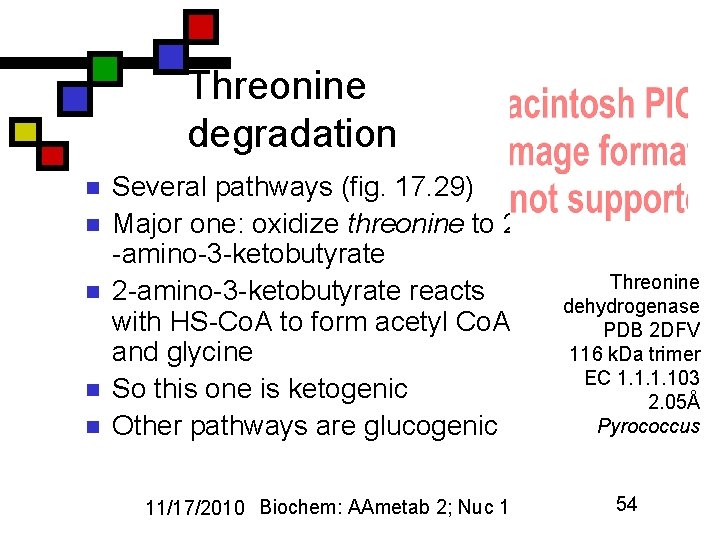 Threonine degradation n n Several pathways (fig. 17. 29) Major one: oxidize threonine to