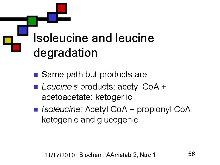 Isoleucine and leucine degradation n Same path but products are: Leucine’s products: acetyl Co.