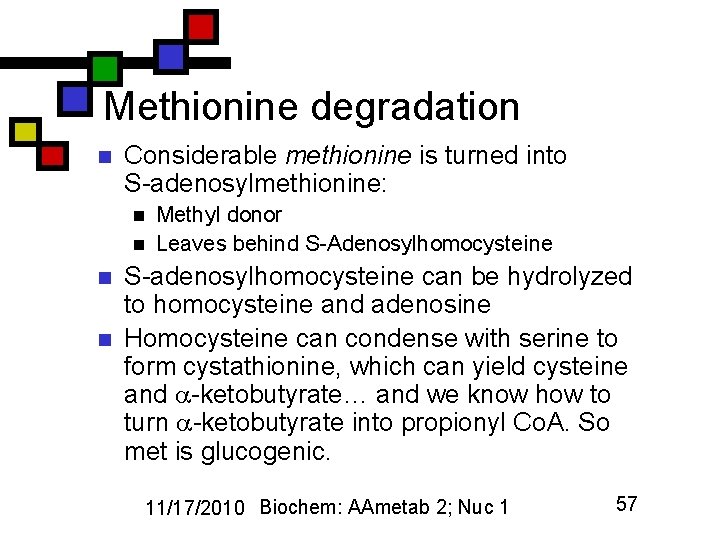 Methionine degradation n Considerable methionine is turned into S-adenosylmethionine: n n Methyl donor Leaves