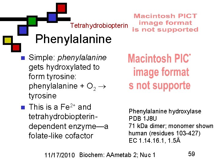 Tetrahydrobiopterin Phenylalanine n n Simple: phenylalanine gets hydroxylated to form tyrosine: phenylalanine + O