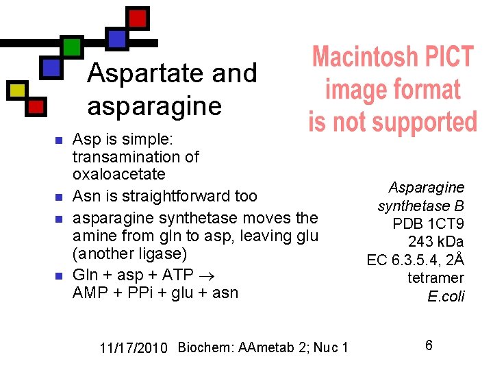 Aspartate and asparagine n n Asp is simple: transamination of oxaloacetate Asn is straightforward