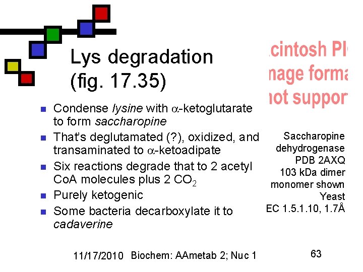 Lys degradation (fig. 17. 35) n n n Condense lysine with -ketoglutarate to form