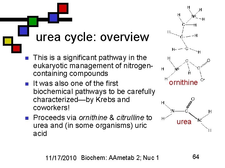 urea cycle: overview n n n This is a significant pathway in the eukaryotic