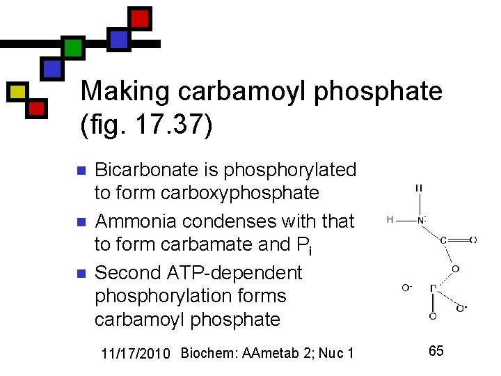 Making carbamoyl phosphate (fig. 17. 37) n n n Bicarbonate is phosphorylated to form