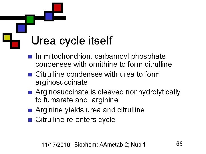 Urea cycle itself n n n In mitochondrion: carbamoyl phosphate condenses with ornithine to