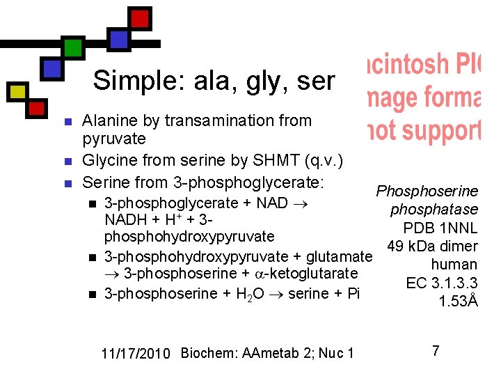 Simple: ala, gly, ser n n n Alanine by transamination from pyruvate Glycine from