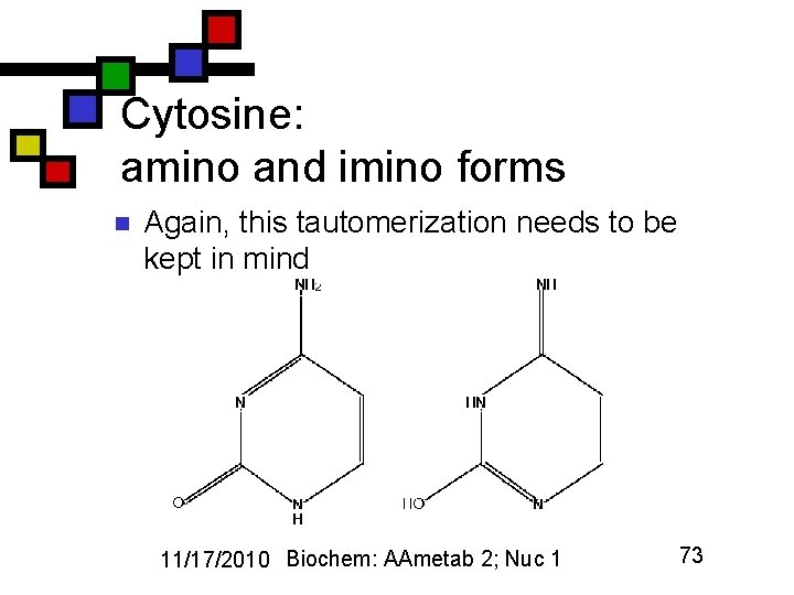 Cytosine: amino and imino forms n Again, this tautomerization needs to be kept in