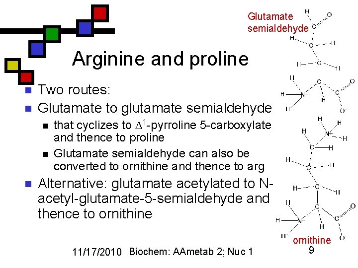 Glutamate semialdehyde Arginine and proline n n Two routes: Glutamate to glutamate semialdehyde n