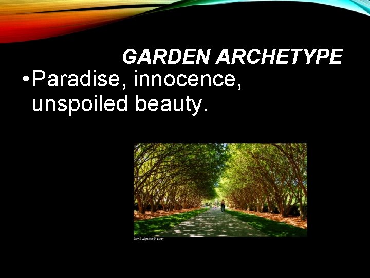 GARDEN ARCHETYPE • Paradise, innocence, unspoiled beauty. 