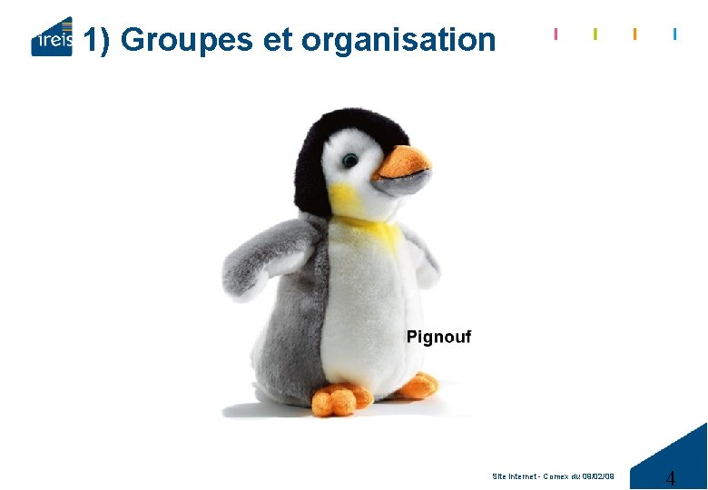 1) Groupes et organisation Site internet - Comex du 09/02/09 4 