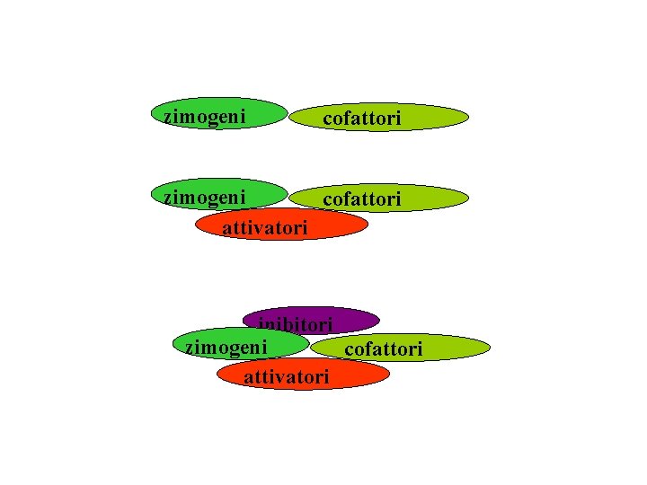 zimogeni cofattori attivatori inibitori zimogeni cofattori attivatori 