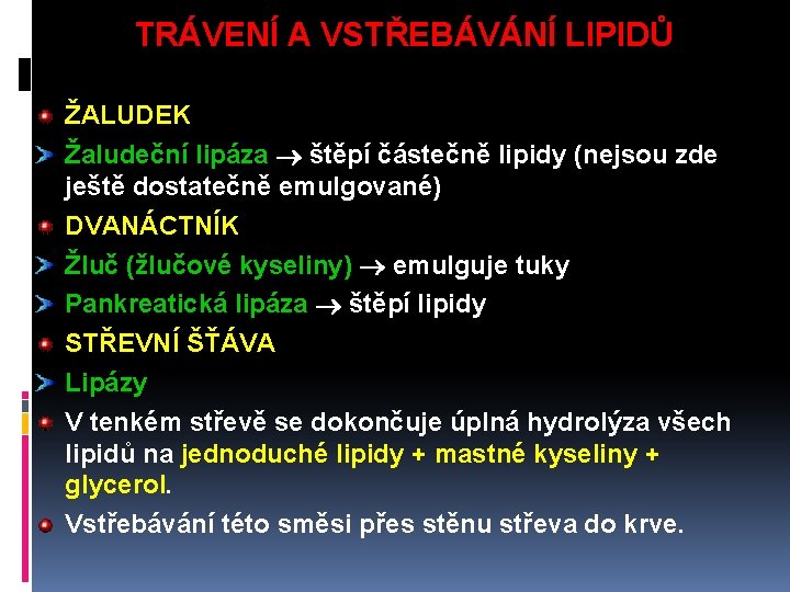 TRÁVENÍ A VSTŘEBÁVÁNÍ LIPIDŮ ŽALUDEK Žaludeční lipáza štěpí částečně lipidy (nejsou zde ještě dostatečně