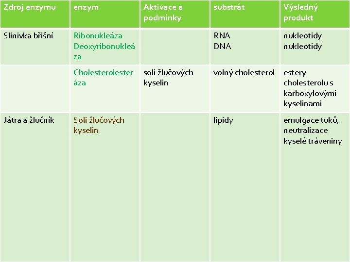 Zdroj enzymu enzym Slinivka břišní Ribonukleáza Deoxyribonukleá za Cholester áza Játra a žlučník Soli