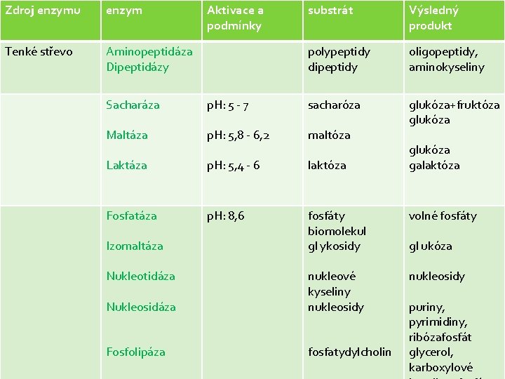 Zdroj enzymu enzym Tenké střevo Aminopeptidáza Dipeptidázy Aktivace a podmínky substrát Výsledný produkt polypeptidy